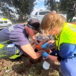 WhatsApp Image 2025-11-22 at 17.05.12_27e97899