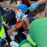 WhatsApp Image 2025-11-23 at 23.16.53_2db201b7